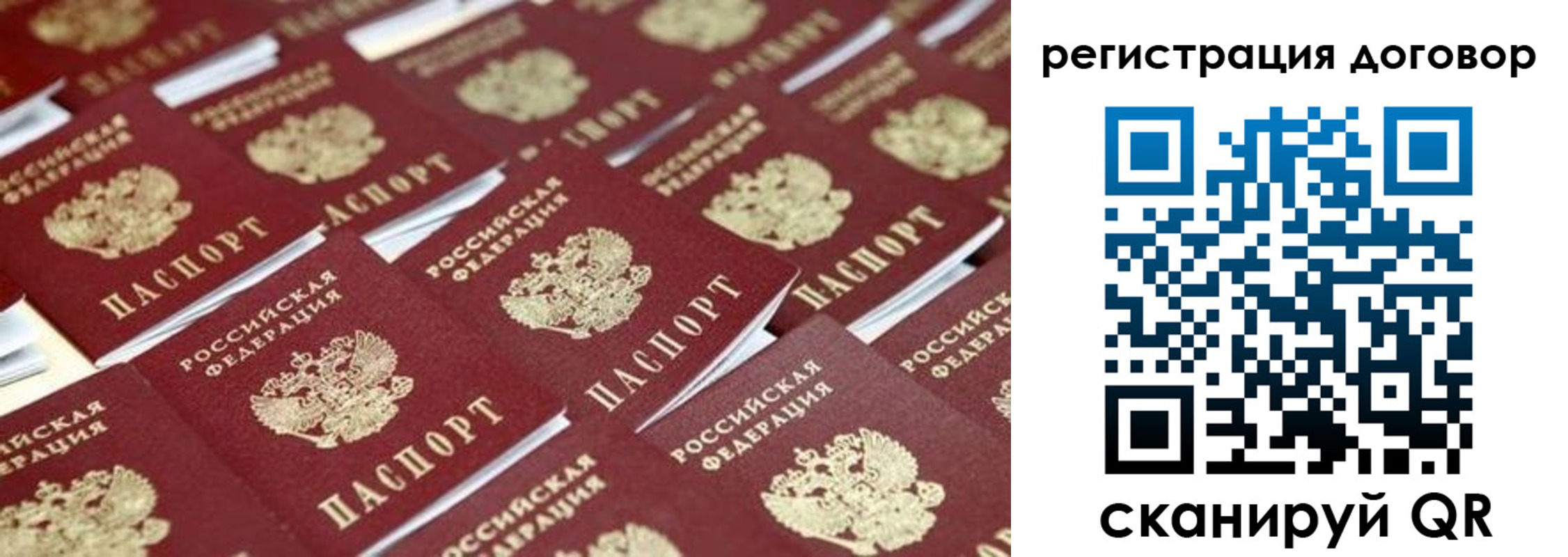где прописаться в Дмитрове